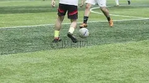 凤凰彩票 产品 030746 06f