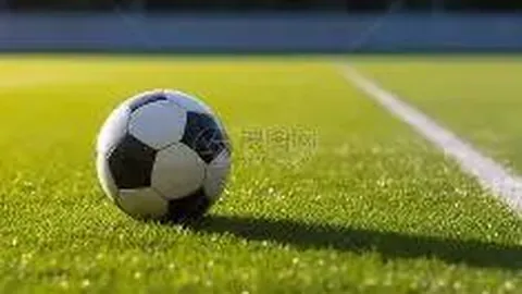 GALA成为RNG新成员，RNG官方公布Gala选手加盟任AD位置